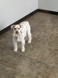 Dottie Belle's Doghouse - Photo 5 - Car repair in Hickory, NC, Hickory