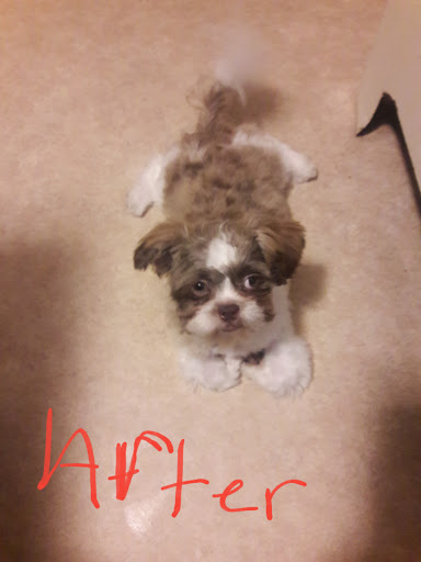 Pet Supply Store «PetSmart», reviews and photos, 533 S Broad St, Meriden, CT 06450, USA