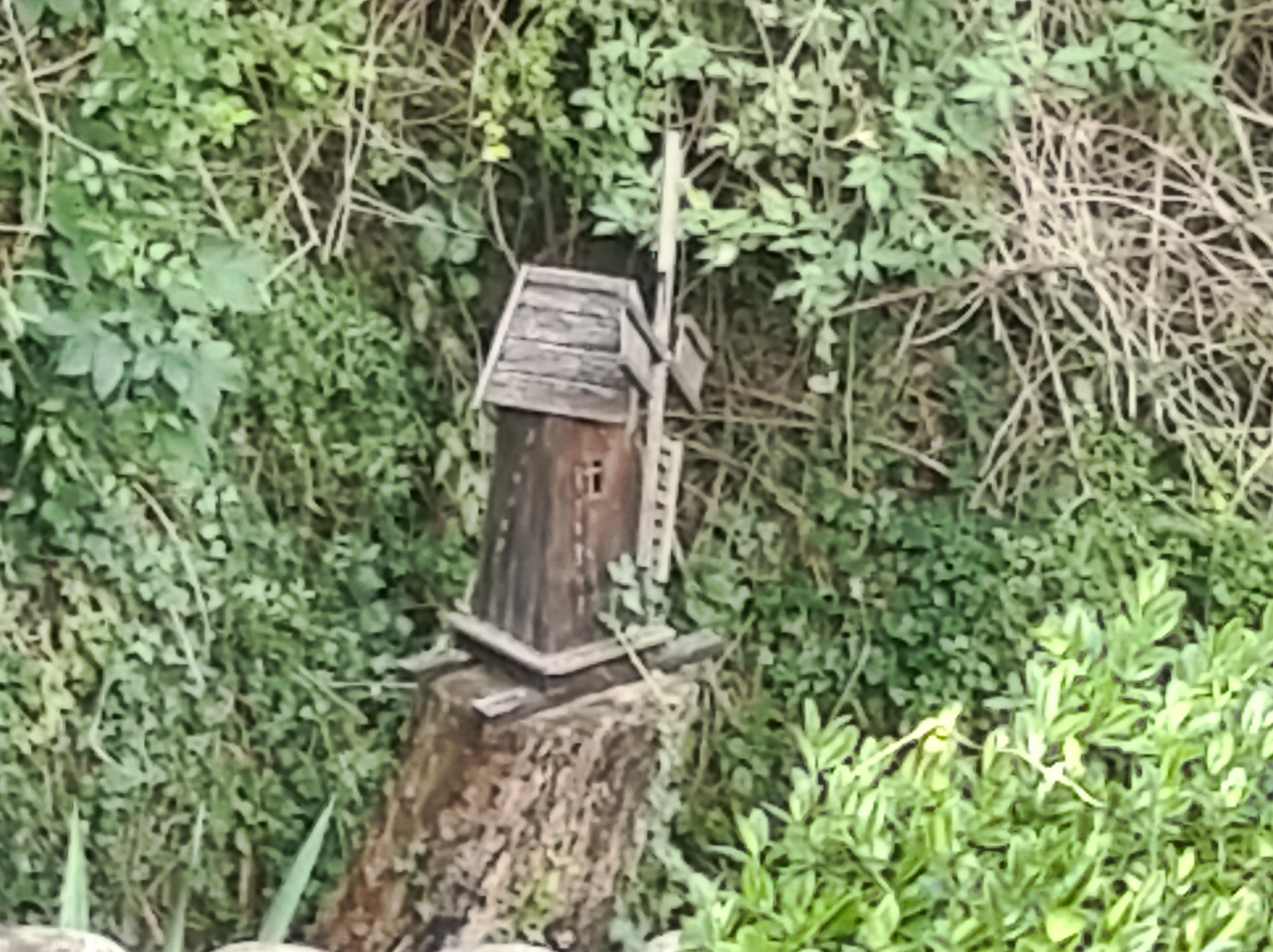 Photo n° 12 de l'avis de Thierry.o fait le 14/09/2020 à 15:27