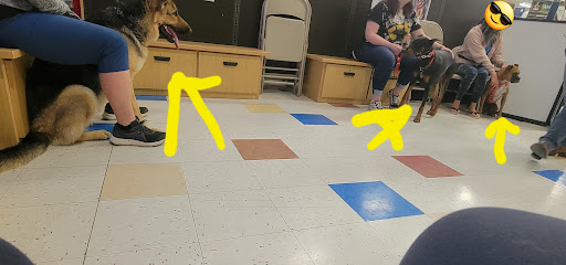 Pet Supply Store «Petco Animal Supplies», reviews and photos, 1415 E Warner Rd, Gilbert, AZ 85296, USA