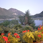 Photo n°1 de l'avis de S.D.. fait le 26/08/2022 à 10:39 sur le  Trattoria Del Tasso à Castel di Tora