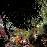 Photo n° 1 de l'avis de Antoine.. fait le 19/08/2023 à 21:06 pour Café De La Cueva à Bormes-les-Mimosas