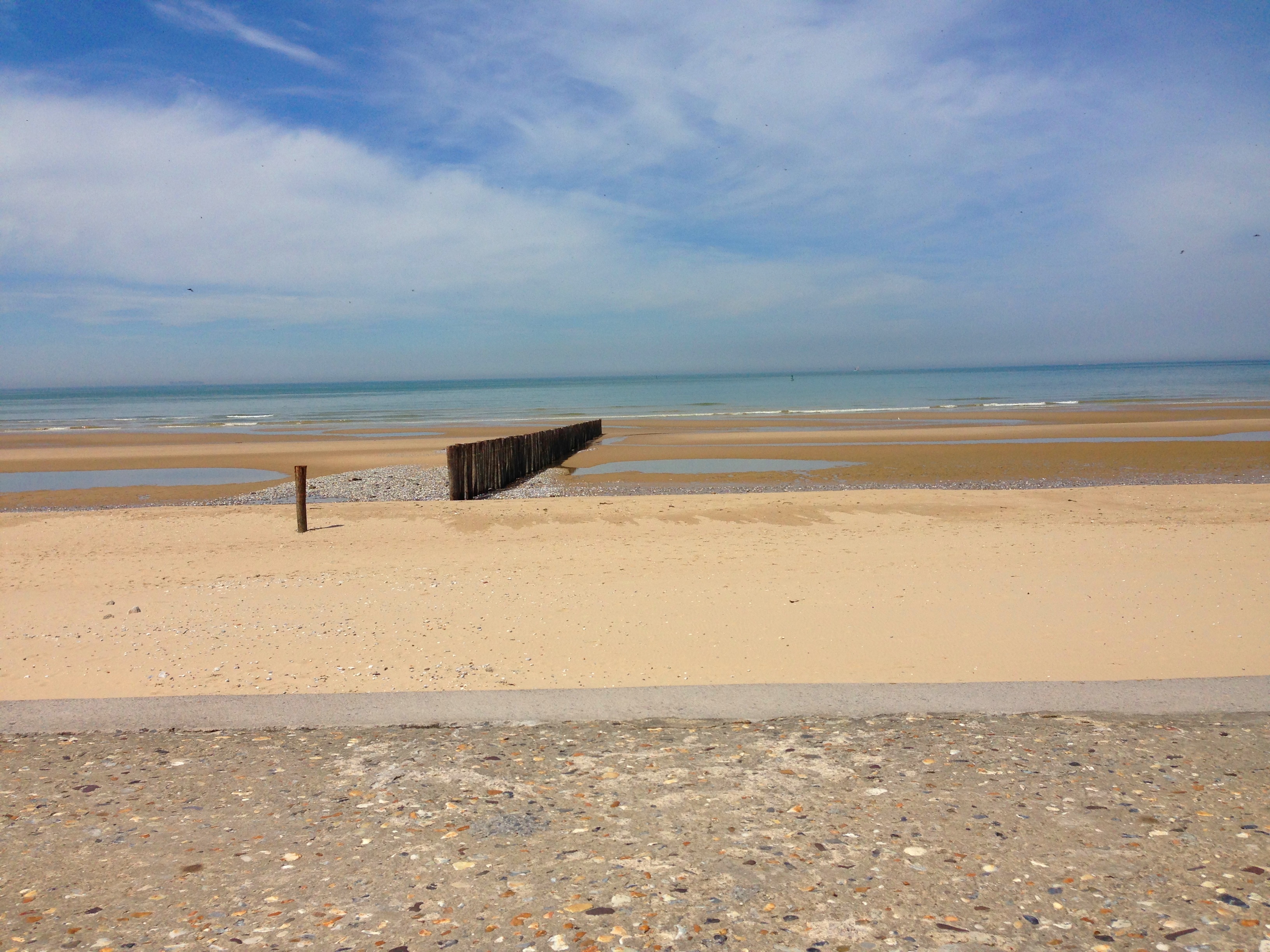 Photo n° 3 de l'avis de gros.' fait le 09/01/2019 à 11:53