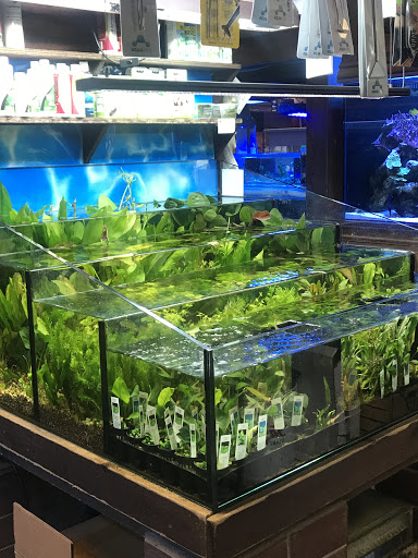 Aquarium Shop «Exotic Aquariums», reviews and photos, 7399 Bird Rd, Miami, FL 33155, USA
