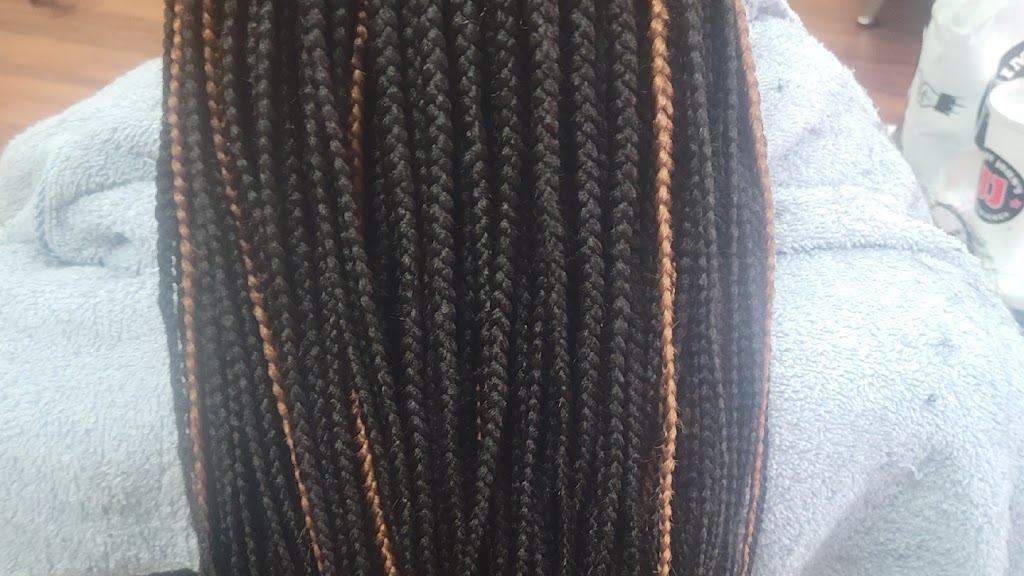 BRAIDS EMPIRE 23502