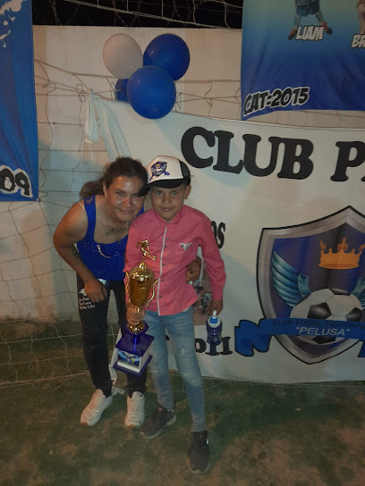 Club Social y Deportivo Pelusa
