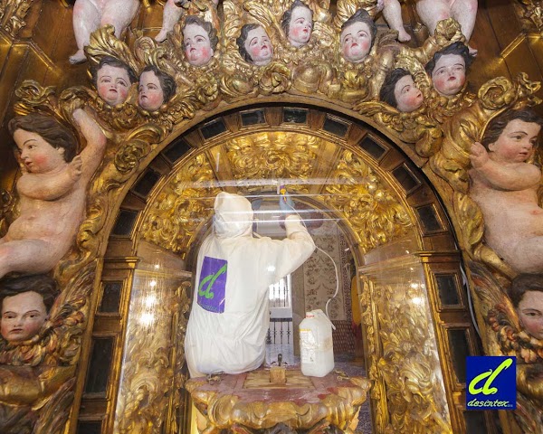 Desintex - Desinfecciones Integrales Extremeñas S.l.