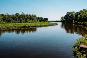 Martinak State Park image