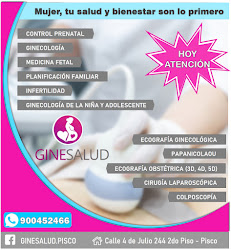GineSalud Pisco