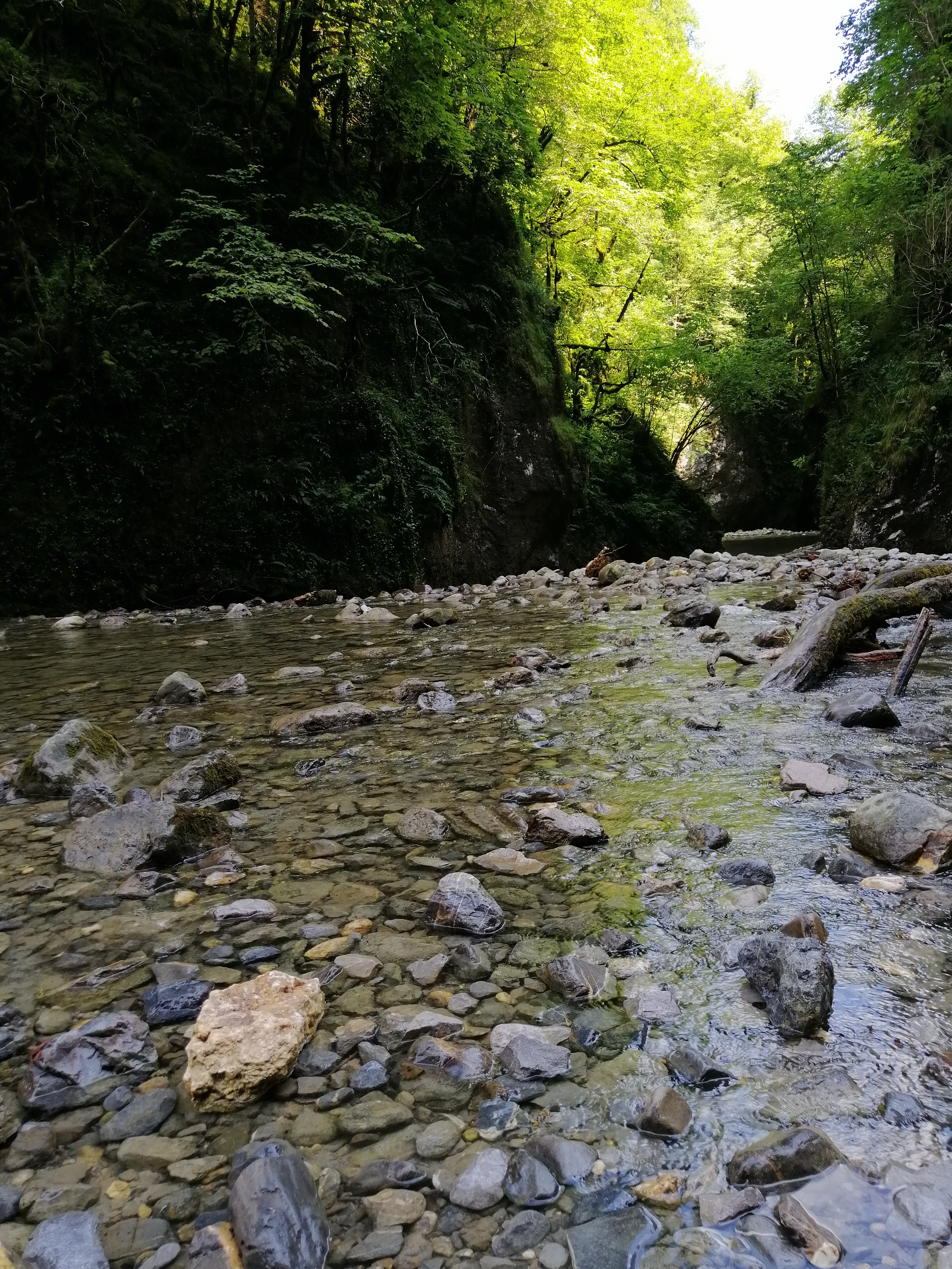 Photo n° 8 de l'avis de Sandrine.e fait le 11/07/2019 à 13:29