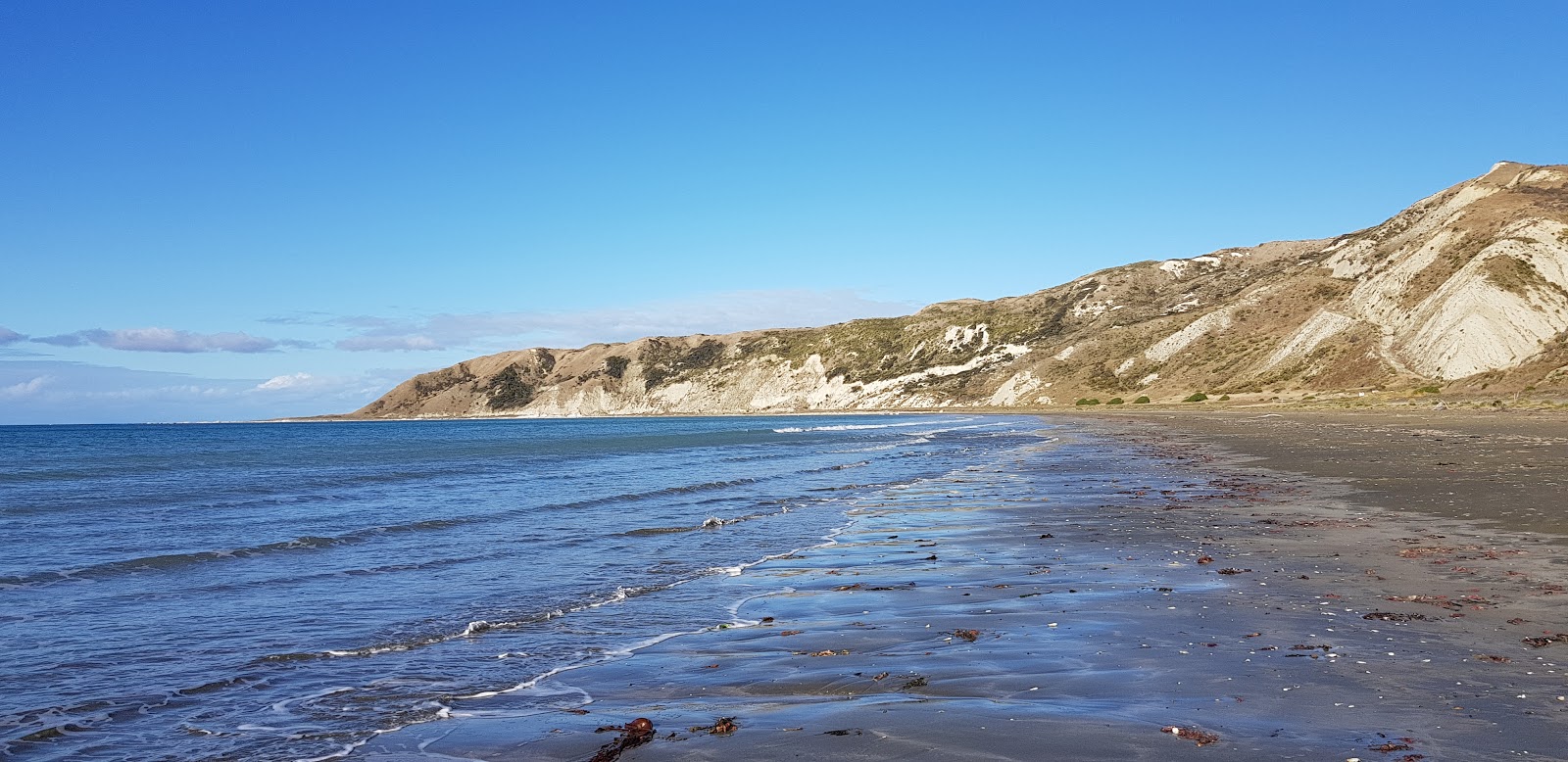 Foto van Marfell's Beach wilde omgeving