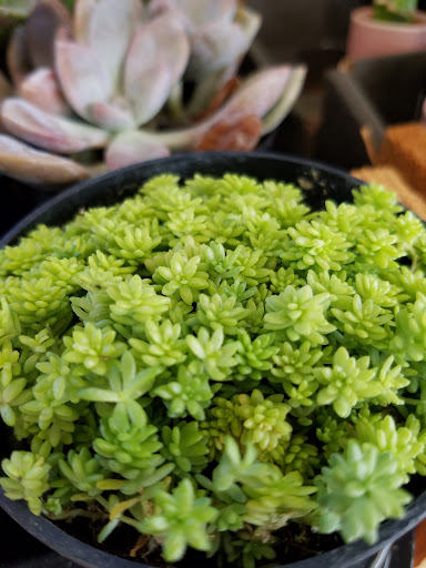 Home Improvement Store «The Home Depot», reviews and photos, 6921 Walton Ln, Gloucester Courthouse, VA 23061, USA