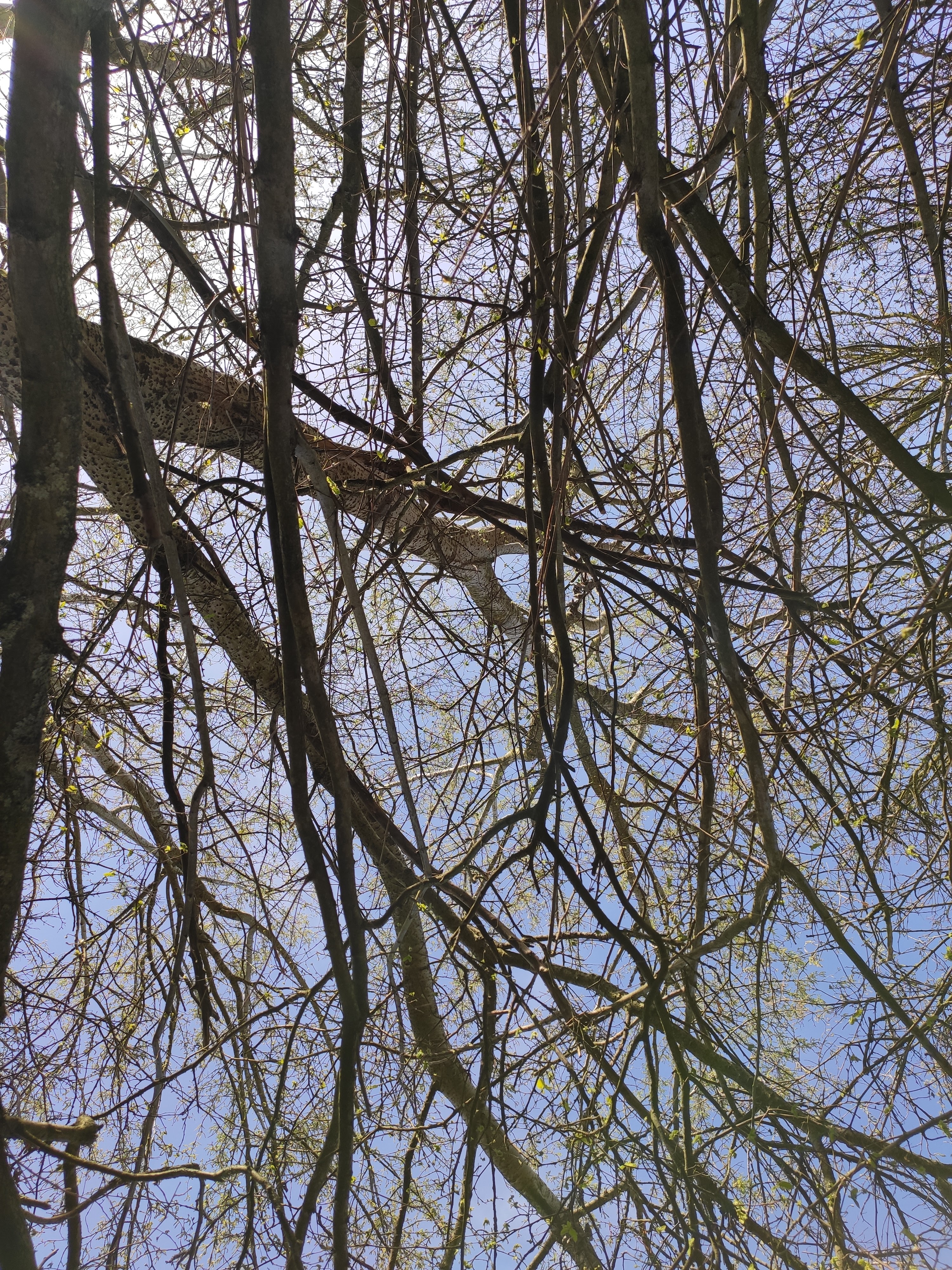 Photo n° 2 de l'avis de Kielran.l fait le 28/03/2021 à 17:02
