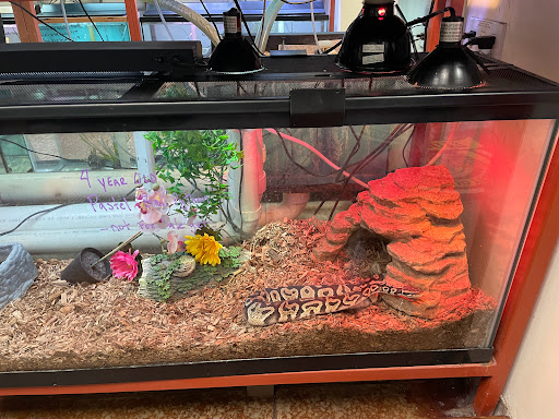 Pet Store «Animal Ark», reviews and photos, 175 S 500 E St, American Fork, UT 84003, USA