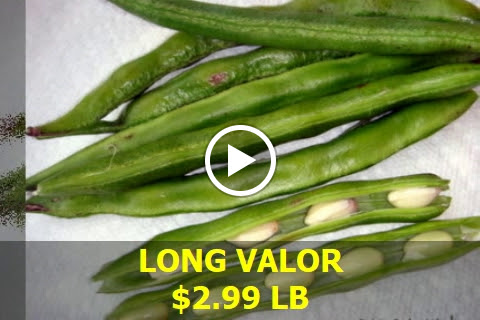 Indian Grocery Store «PRABHU INDIAN GROCERIES», reviews and photos, 1213 N Elmhurst Rd, Prospect Heights, IL 60070, USA