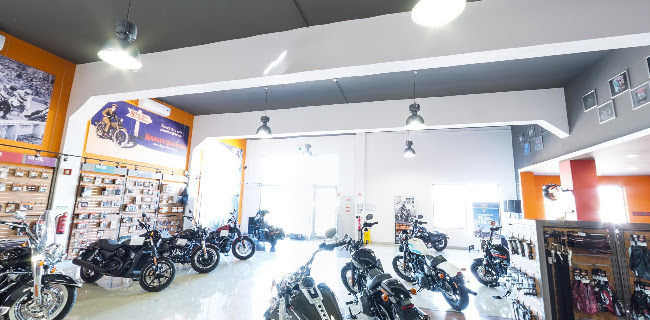 Harley-Davidson Algarve - Loja de motocicletas