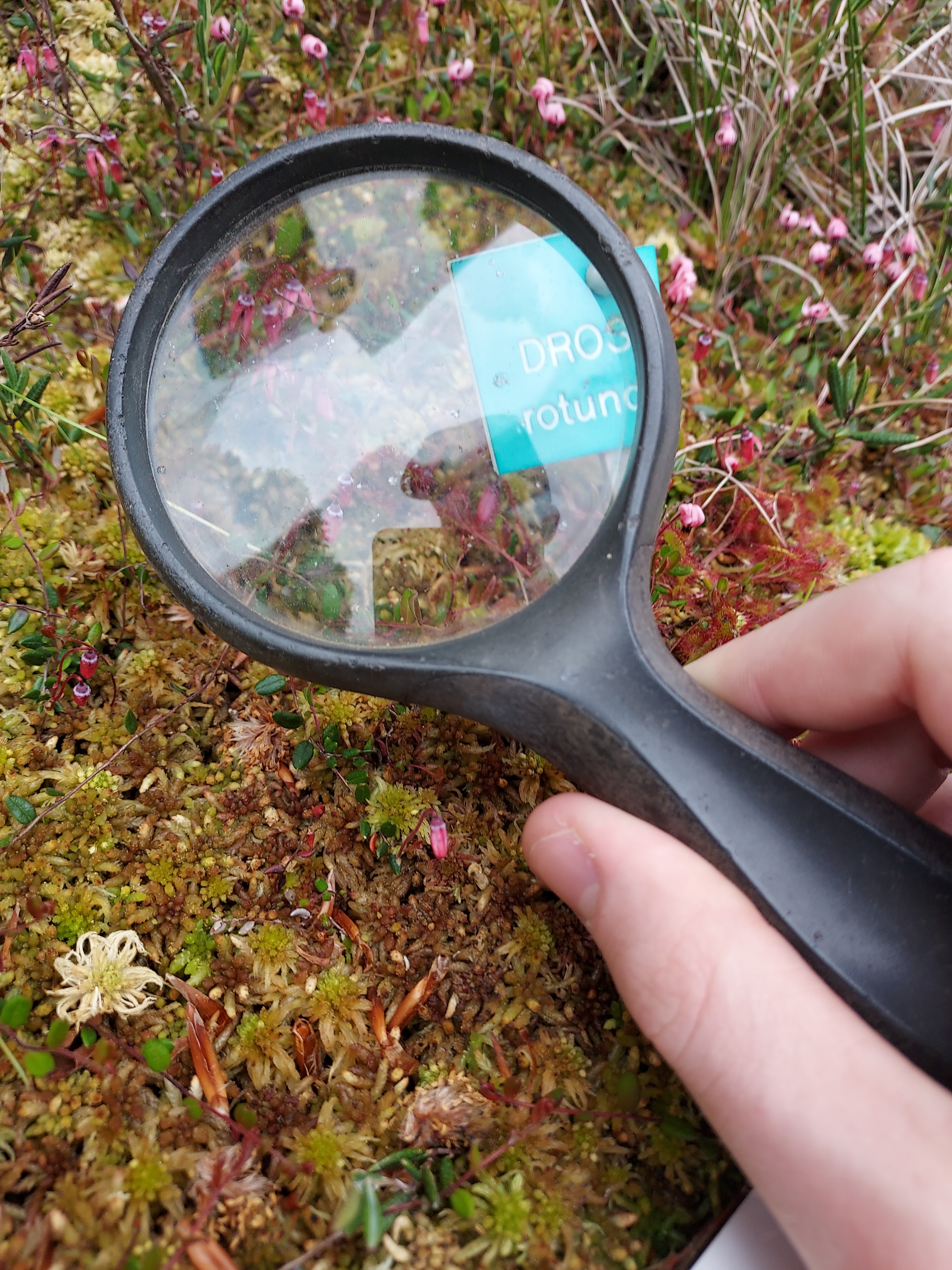 Photo n° 2 de l'avis de Quentin.r fait le 27/06/2023 à 17:39