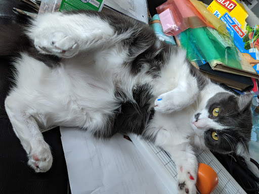 Pet Store «Pet Valu», reviews and photos, 604 Plaza Dr, Newark, DE 19702, USA