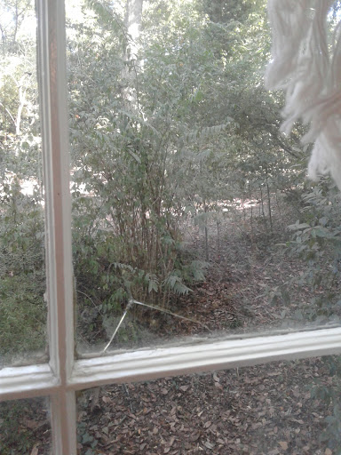 Tourist Attraction «McRaven Tour Home», reviews and photos, 1445 Harrison St, Vicksburg, MS 39180, USA