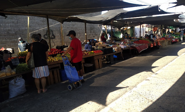 Feria Libre Infante - Constitucion