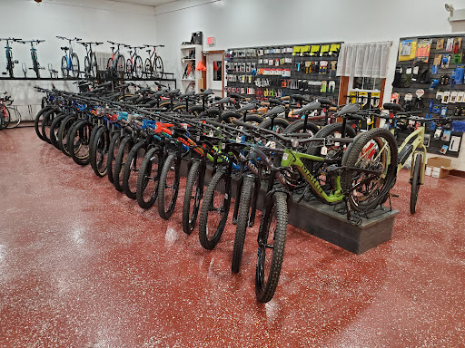 Blue Boulder Bicycles shop front