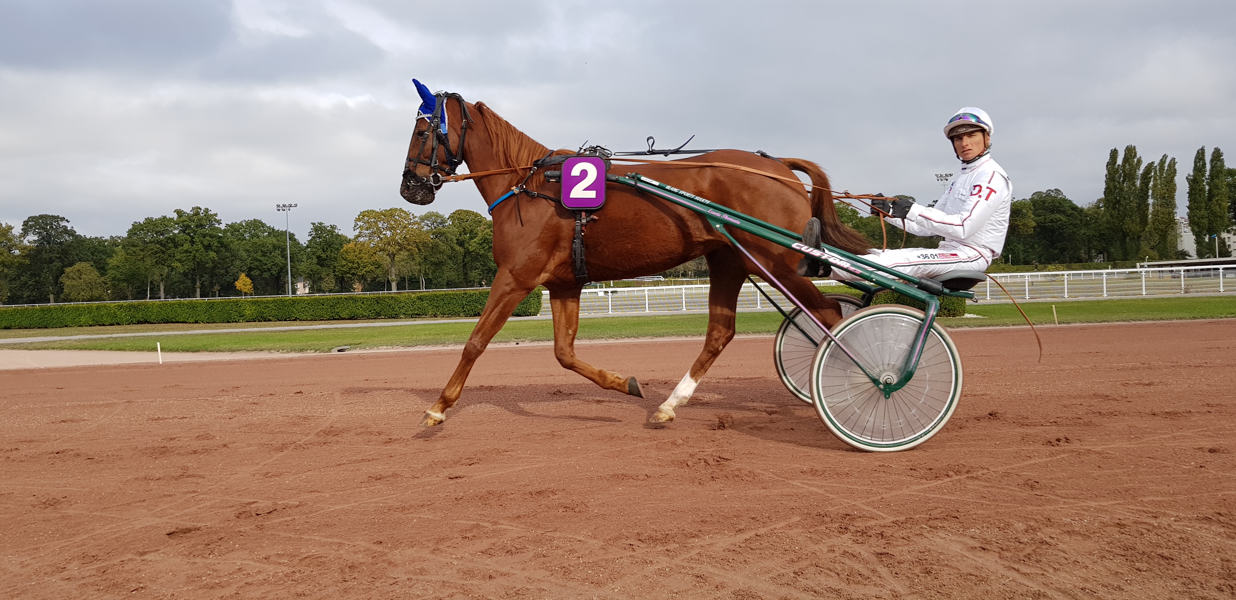 Photo n° 5 de l'avis de Nicole.r fait le 23/10/2018 à 20:46