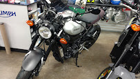 Fredericktown Yamaha SSR Giant Intense - Photo 2 - Car repair in Frederick, MD, Frederick
