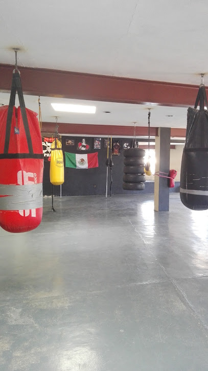 San Pedro Fitness - República de Brasil 70, Centro, 45550 San Pedro Tlaquepaque, Jal., Mexico
