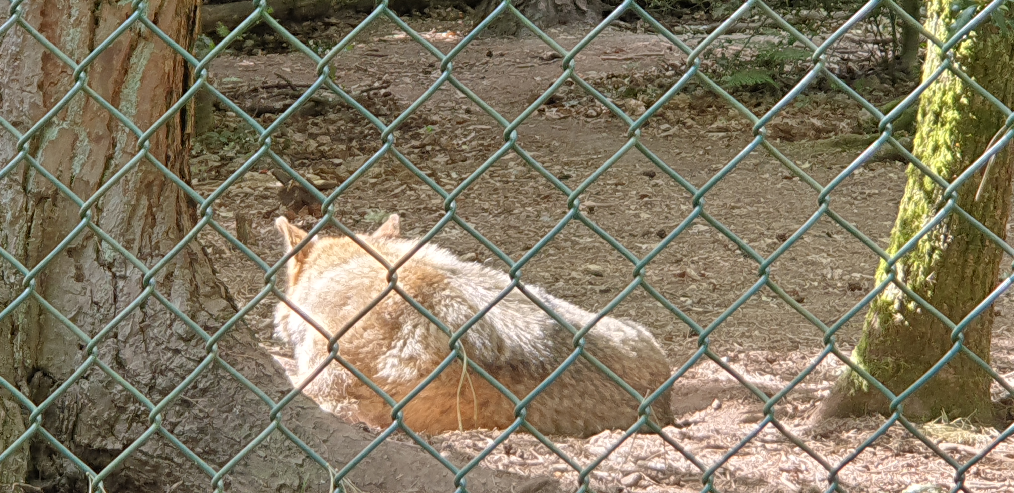 Photo n° 2 de l'avis de Dominique.A fait le 05/05/2022 à 18:02