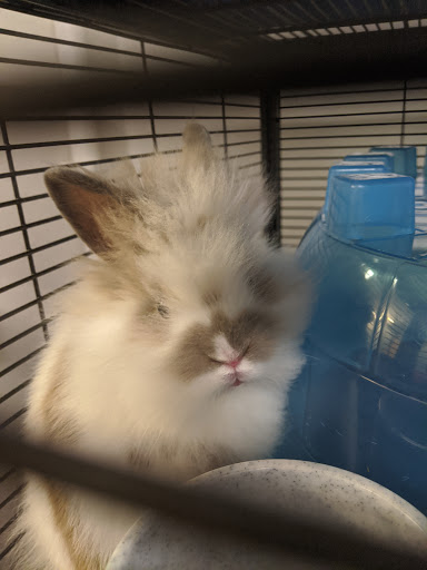 Pet Supply Store «Eden Garden and Pets», reviews and photos, 1439 S 70th St, West Allis, WI 53214, USA