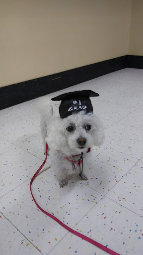 Pet Supply Store «Petco Animal Supplies», reviews and photos, 10383 Reisterstown Rd, Owings Mills, MD 21117, USA