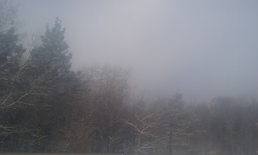 Bar «Somewhere else Tavern», reviews and photos, 5713 W Friendly Ave, Greensboro, NC 27410, USA