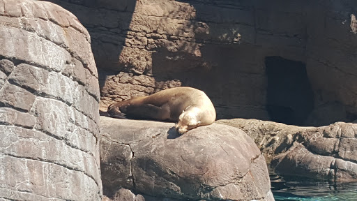 State Park «White River State Park», reviews and photos, 801 W Washington St, Indianapolis, IN 46204, USA