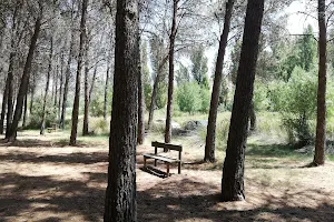 Forestal Dehesa de Santorcaz Park image