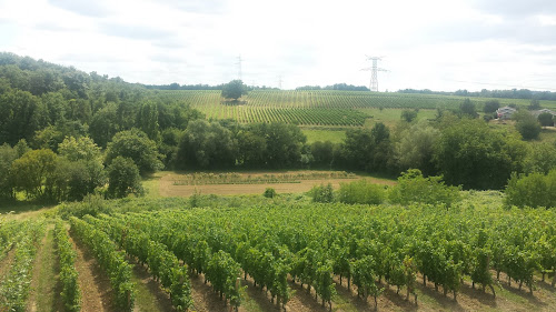 Domaine de la Grave - Vignobles Roche Teycheney à Beychac-et-Caillau