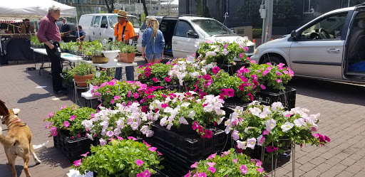 Market «Indianapolis City Market», reviews and photos, 222 E Market St, Indianapolis, IN 46204, USA