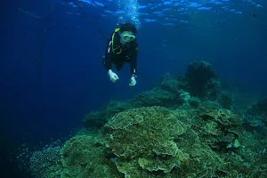 June Dive Resort image