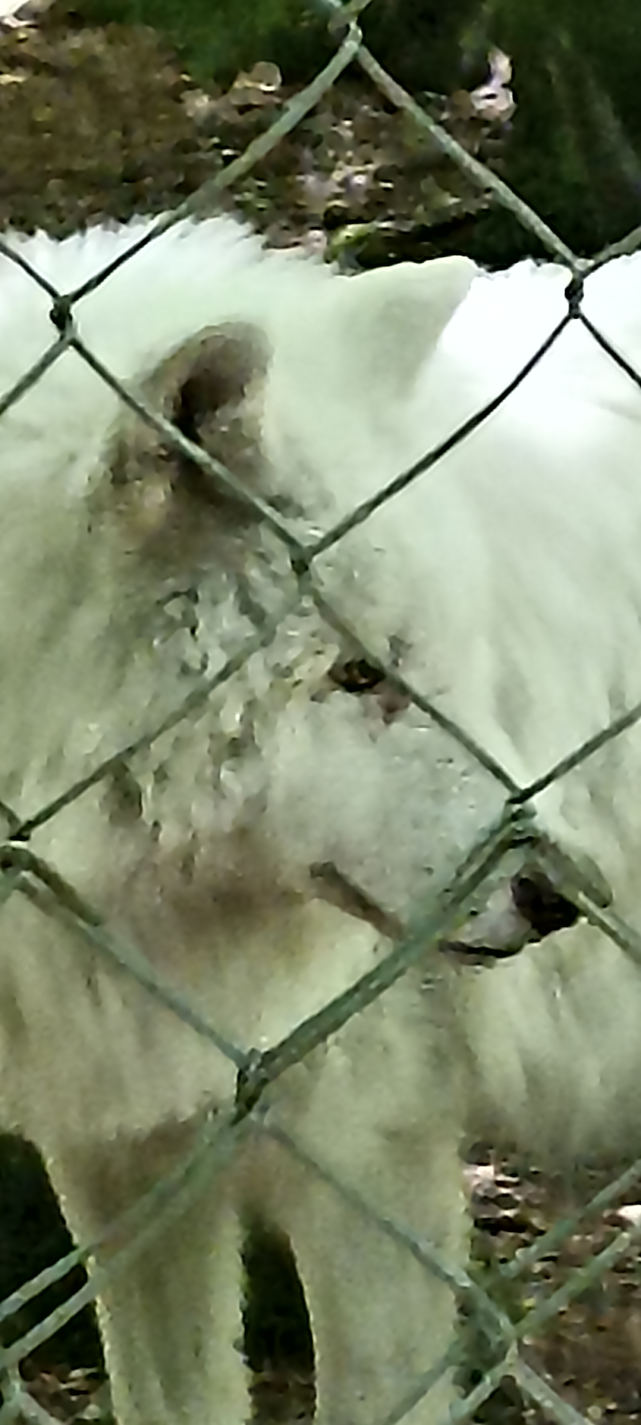 Photo n° 5 de l'avis de Corinne.l fait le 09/07/2022 à 19:05