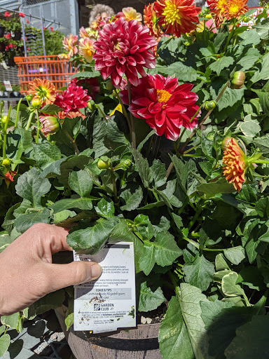 Home Improvement Store «The Home Depot», reviews and photos, 782 PA-113, Souderton, PA 18964, USA