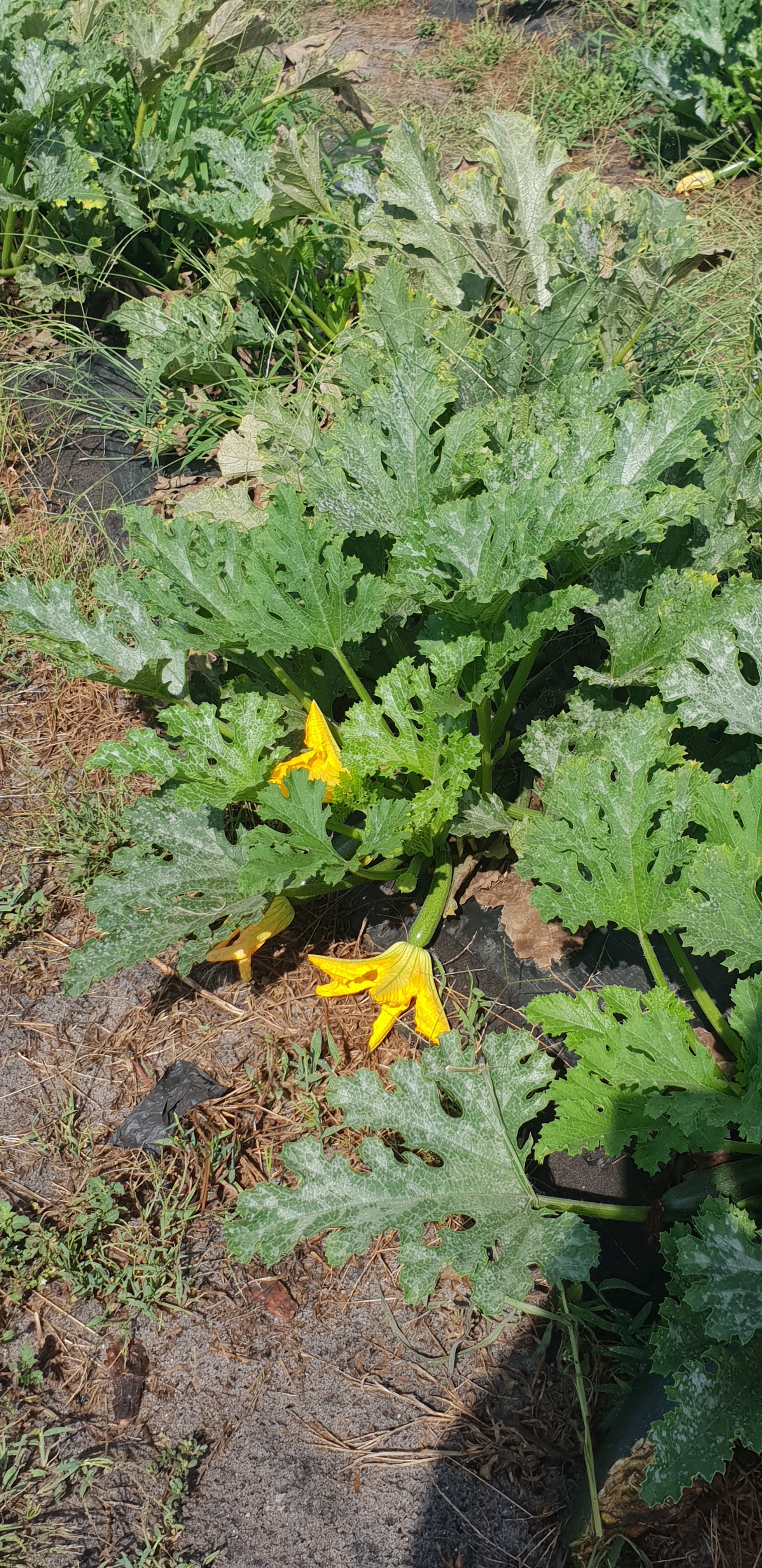 Photo n° 1 de l'avis de Jean.a fait le 12/08/2020 à 12:49
