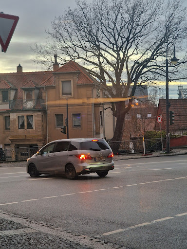 Küçük Resim 1