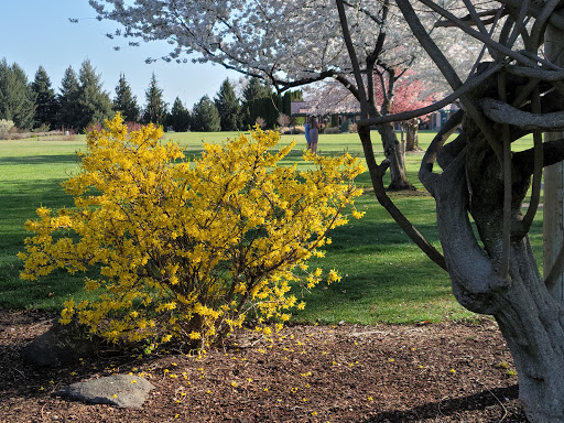 Arboretum «Yakima Area Arboretum», reviews and photos, 1401 Arboretum Dr, Yakima, WA 98901, USA