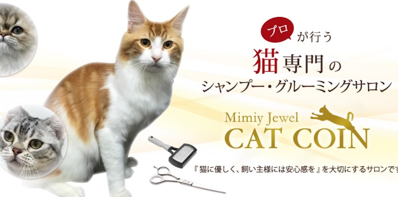 Mimiy Jewel CAT COIN