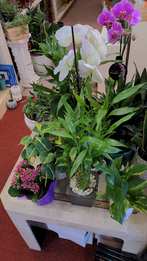 Florist «Bundle Of Roses», reviews and photos, 763 Elden St, Herndon, VA 20170, USA