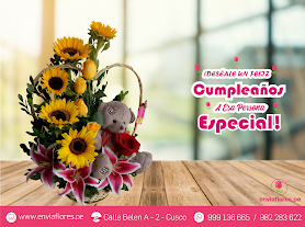 Envía flores Cusco - Santiago