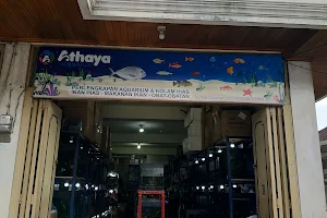ATHAYA Aquarium image