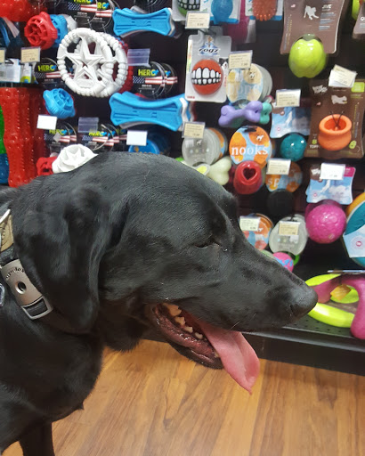 Pet Store «Pet Valu», reviews and photos, 2290 Central Park Ave, Yonkers, NY 10701, USA