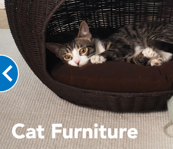 PetSmart image