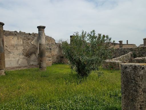 Drug Store «Walgreens», reviews and photos, 1601 Monmouth St, Newport, KY 41071, USA