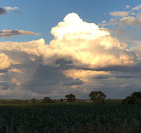 Roadrunner Dent Repair